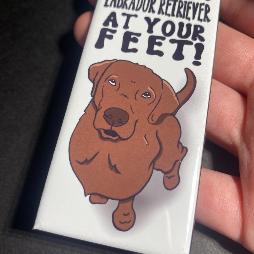 Chocolate Labrador Retriever Kitchen Magnet Decor - Picture 4 of 5